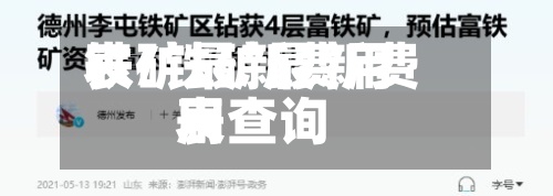 铁矿最新费用表/铁矿最新费用表查询
