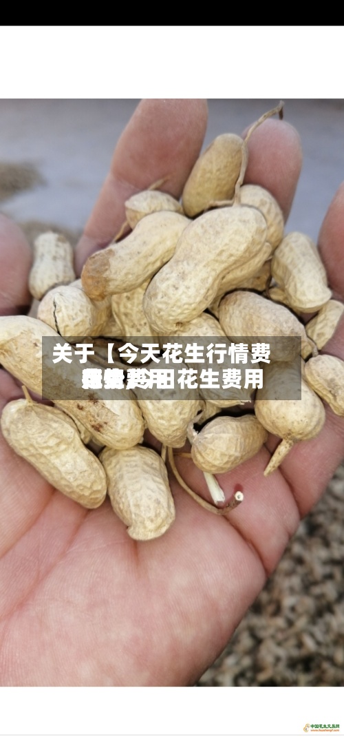 关于【今天花生行情费用走势,今日花生费用花生费用行情】