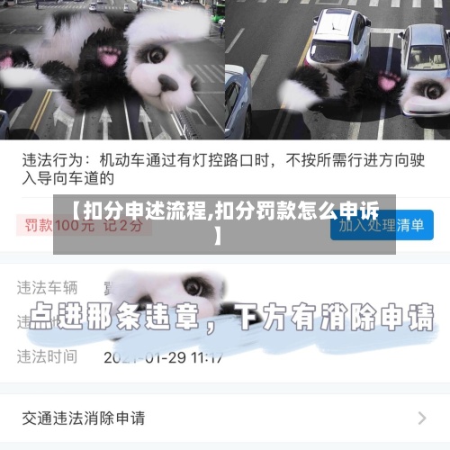 【扣分申述流程,扣分罚款怎么申诉】-第3张图片