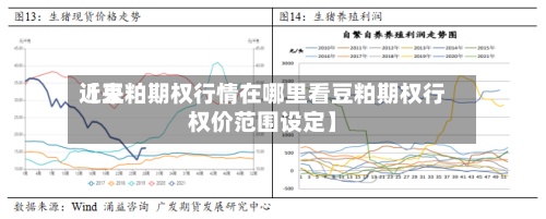 近来【豆粕期权行情在哪里看豆粕期权行权价范围设定】-第3张图片