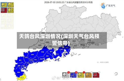 天鸽台风深圳情况(深圳天气台风预警信号)