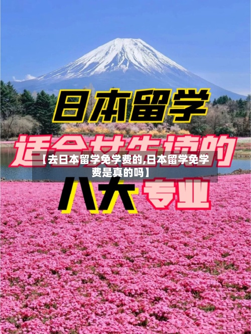 【去日本留学免学费的,日本留学免学费是真的吗】-第2张图片