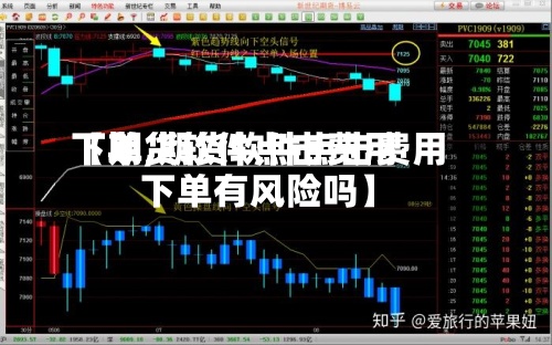 【期货软件点击费用
下单,期货软件点击费用
下单有风险吗】-第2张图片