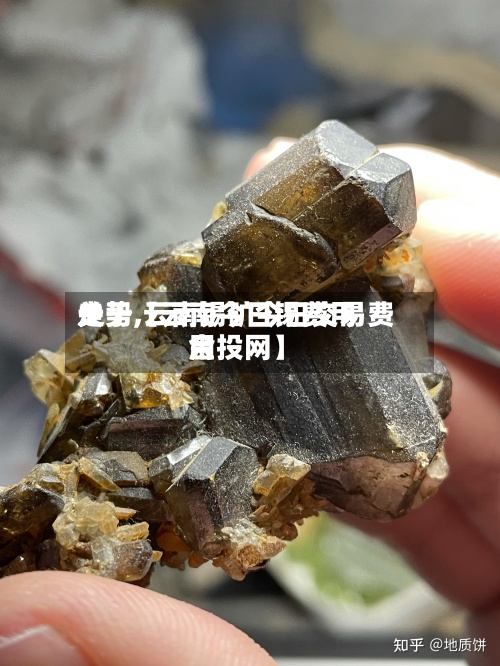 关于【云南今日锡费用
走势,云南锡矿今日交易费用
金投网】