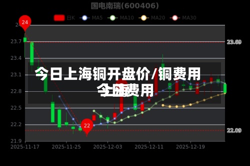 今日上海铜开盘价/铜费用
今日费用
上海