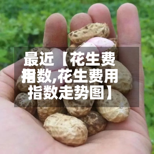 最近【花生费用
指数,花生费用
指数走势图】-第3张图片