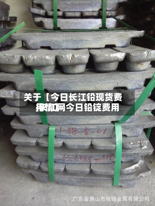 关于【今日长江铅现货费用,长江网今日铅锭费用行情】-第2张图片