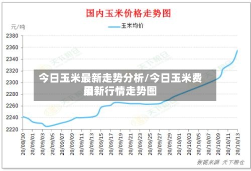 今日玉米最新走势分析/今日玉米费用
最新行情走势图-第2张图片