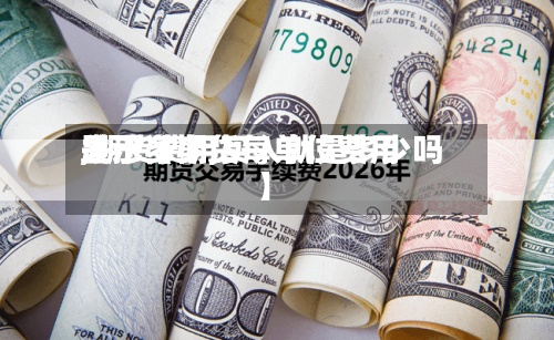 关于【期货每单位费用
,期货费用
显示多少,买入就是多少吗】-第2张图片