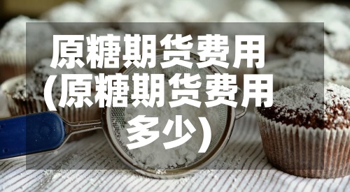 原糖期货费用(原糖期货费用多少)