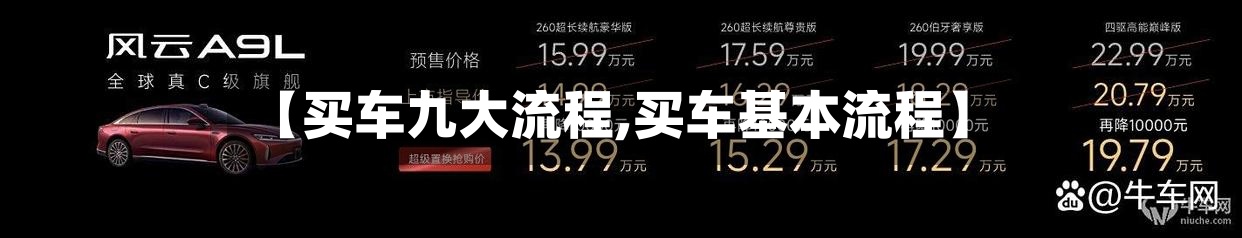 【买车九大流程,买车基本流程】