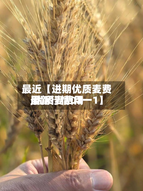 最近【进期优质麦费用
,优质麦费用
最新行情02一1】