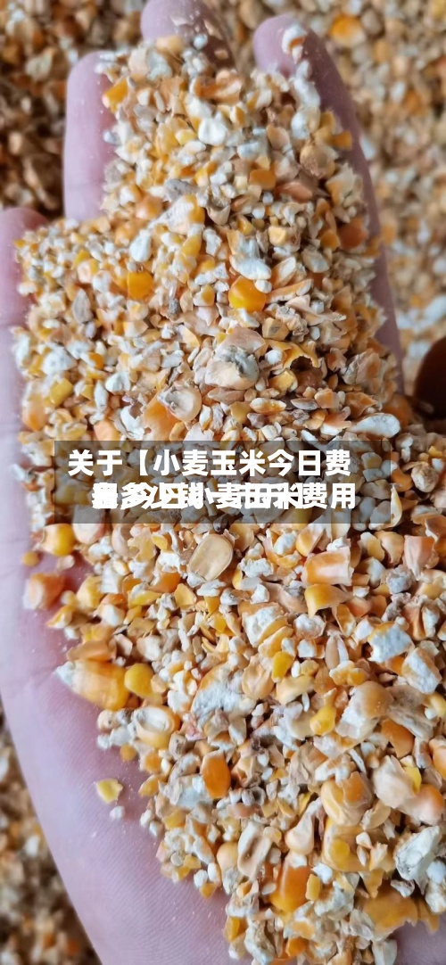 关于【小麦玉米今日费用表,今日小麦玉米费用各多少钱一市斤】-第2张图片