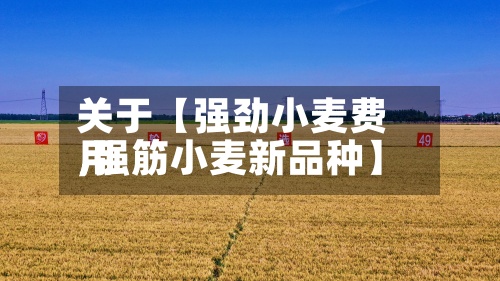 关于【强劲小麦费用
,强筋小麦新品种】-第2张图片