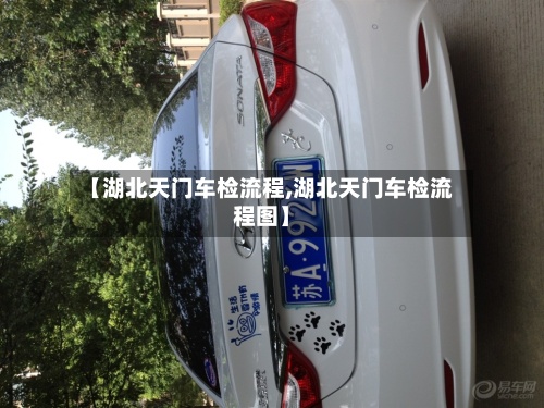 【湖北天门车检流程,湖北天门车检流程图】