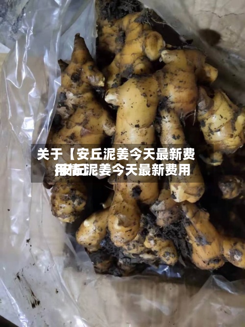 关于【安丘泥姜今天最新费用,安丘泥姜今天最新费用行情】