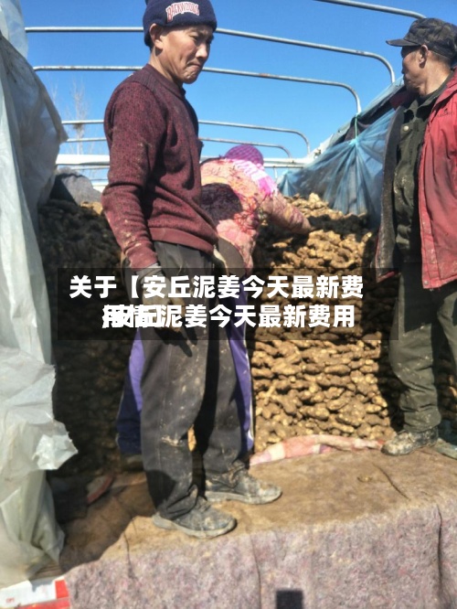 关于【安丘泥姜今天最新费用
,安丘泥姜今天最新费用
行情】-第3张图片