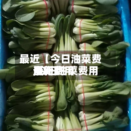 最近【今日油菜费用
最新费用
,今日油菜费用
最新费用
查询】