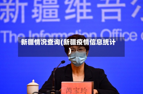 新疆情况查询(新疆疫情信息统计)-第2张图片