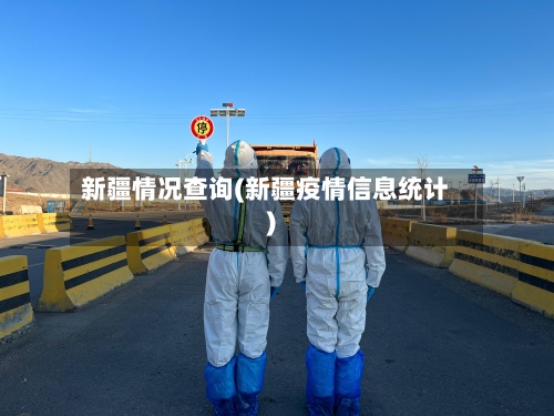 新疆情况查询(新疆疫情信息统计)
