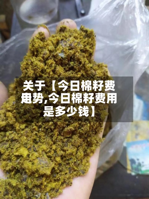 关于【今日棉籽费用
走势,今日棉籽费用
是多少钱】