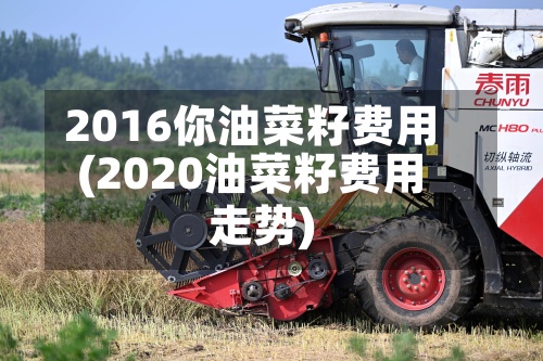 2016你油菜籽费用
(2020油菜籽费用
走势)