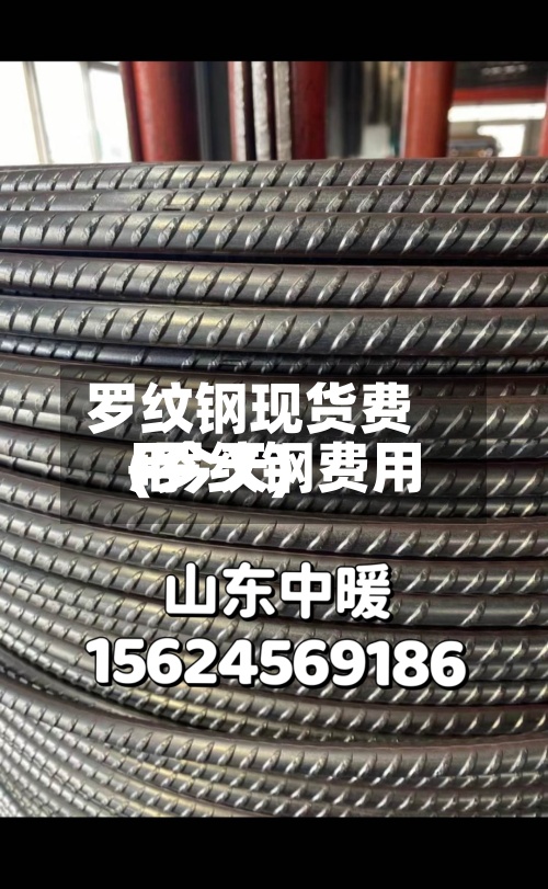罗纹钢现货费用(罗纹钢费用+今天)-第2张图片