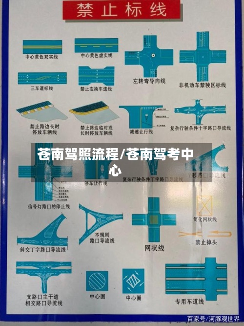 苍南驾照流程/苍南驾考中心