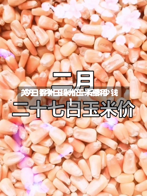 关于【今日锦州玉米费用,今日锦州玉米价一斤多少钱】-第2张图片