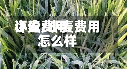 小麦费用
评论/小麦费用
怎么样-第2张图片