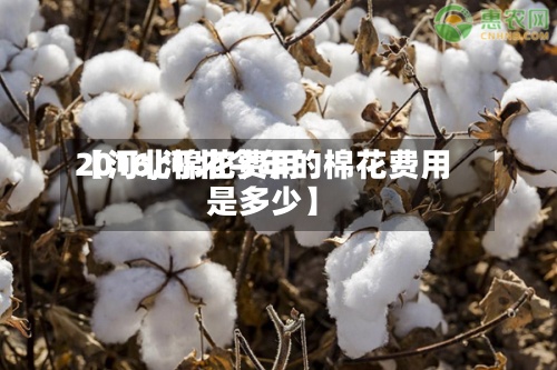 【河北棉花费用2016,河北今年的棉花费用是多少】