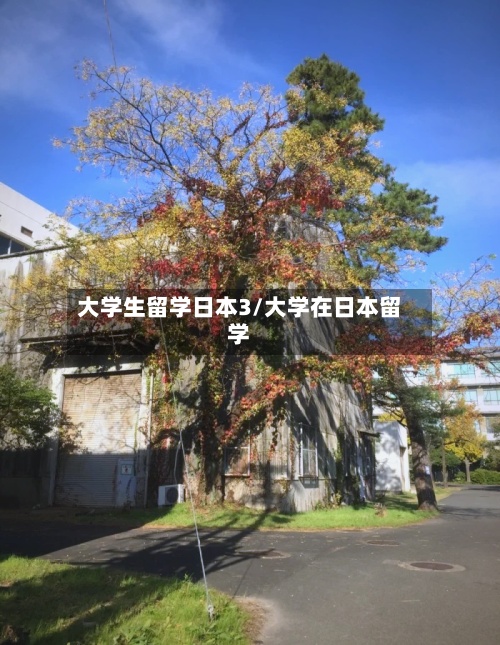 大学生留学日本3/大学在日本留学-第2张图片
