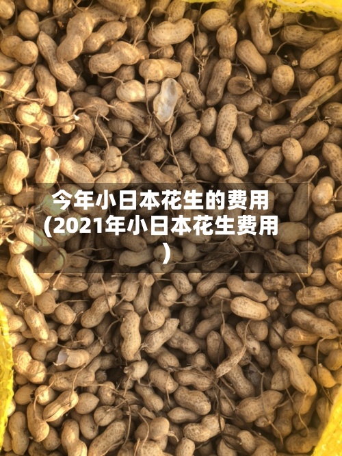 今年小日本花生的费用
(2021年小日本花生费用
)