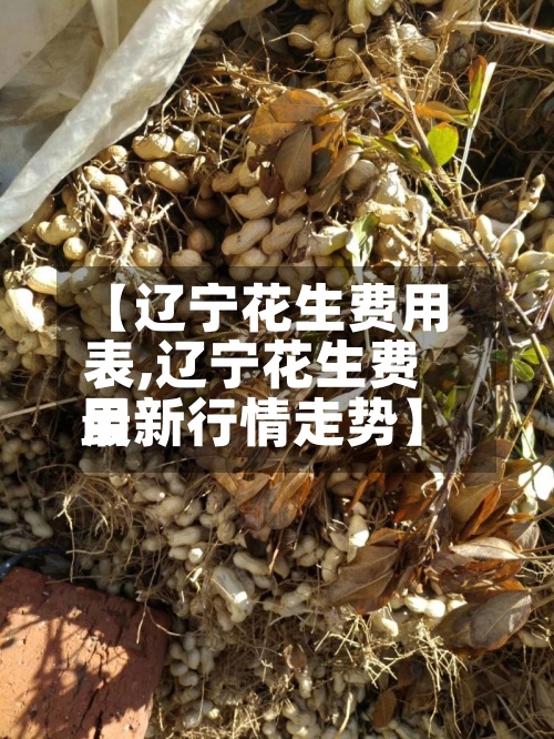 【辽宁花生费用表,辽宁花生费用最新行情走势】