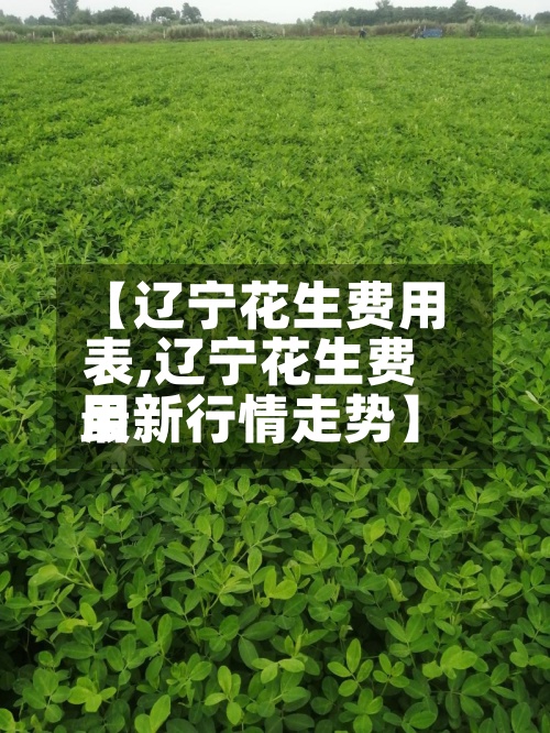 【辽宁花生费用
表,辽宁花生费用
最新行情走势】-第2张图片