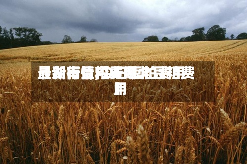 【湖南豆粕费用
最新行情,今日豆粕费用
最新行情今天湖北豆粕费用
】-第3张图片