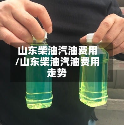 山东柴油汽油费用/山东柴油汽油费用走势