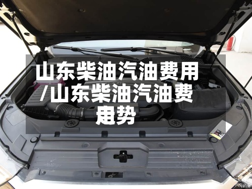 山东柴油汽油费用/山东柴油汽油费用走势-第2张图片