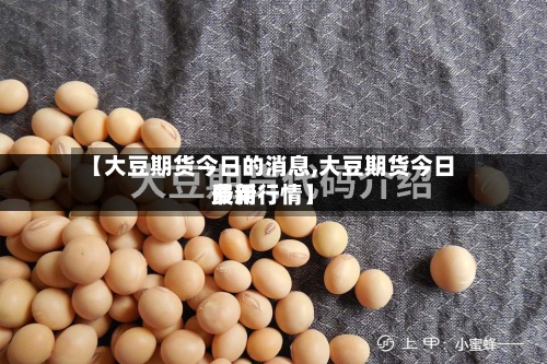 【大豆期货今日的消息,大豆期货今日费用
最新行情】-第2张图片