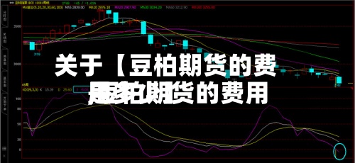 关于【豆柏期货的费用,豆柏期货的费用是多少】