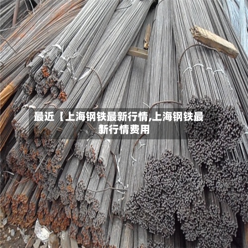 最近【上海钢铁最新行情,上海钢铁最新行情费用】-第2张图片