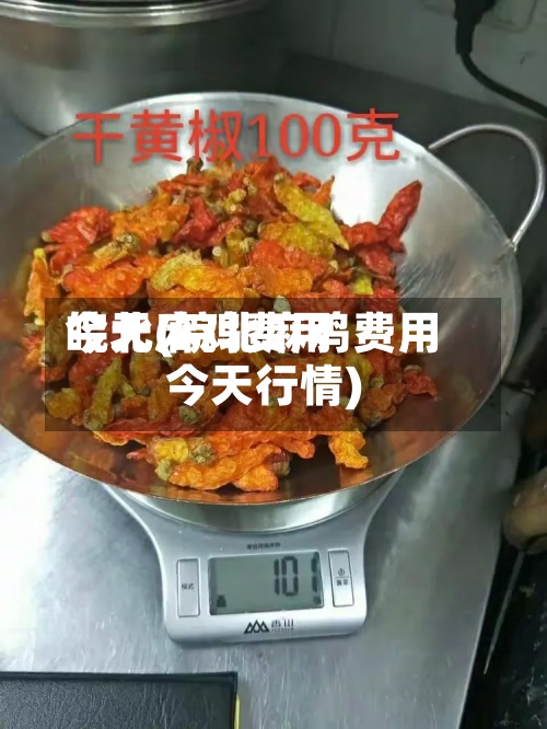皖北麻鸡费用
今天(皖北麻鸡费用
今天行情)-第2张图片