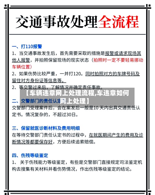 【车辆违章网上处理流程,车违章如何网上处理】