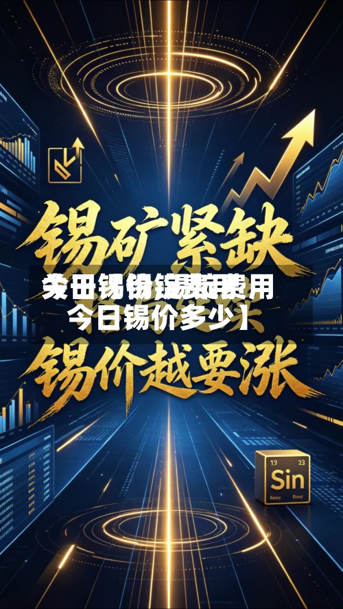 关于【锡锭费用
今日锡价,锡锭费用
今日锡价多少】-第3张图片