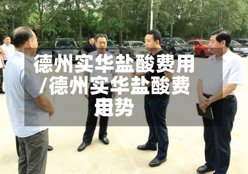 德州实华盐酸费用
/德州实华盐酸费用
走势-第2张图片