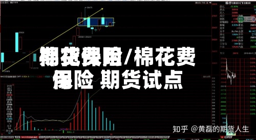 棉花费用期货保险/棉花费用保险 期货试点-第2张图片