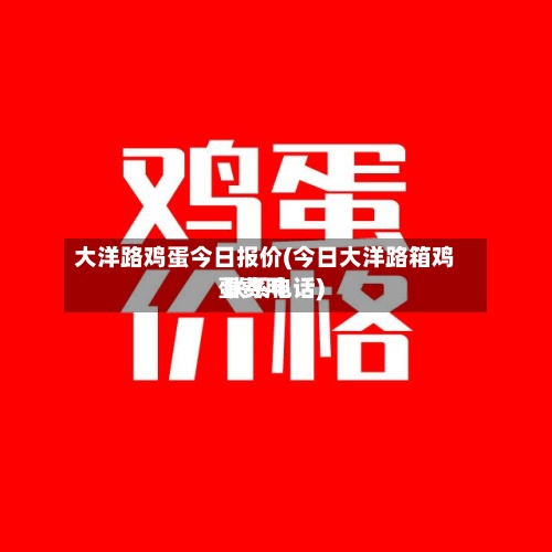 大洋路鸡蛋今日报价(今日大洋路箱鸡蛋费用 联系电话)