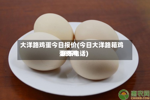 大洋路鸡蛋今日报价(今日大洋路箱鸡蛋费用
联系电话)-第2张图片