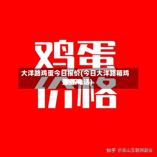 大洋路鸡蛋今日报价(今日大洋路箱鸡蛋费用
联系电话)-第3张图片
