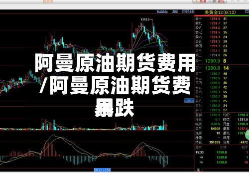 阿曼原油期货费用
/阿曼原油期货费用
暴跌